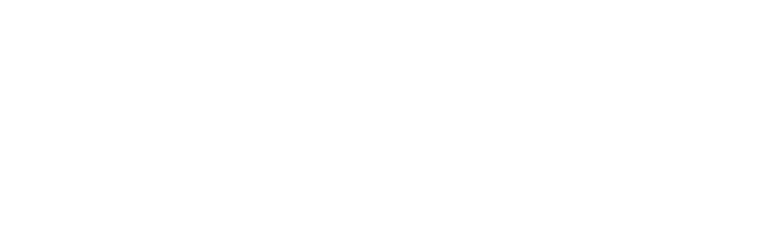 福岡市博多区のキャバクラ「PARADISE 中洲」のロゴ